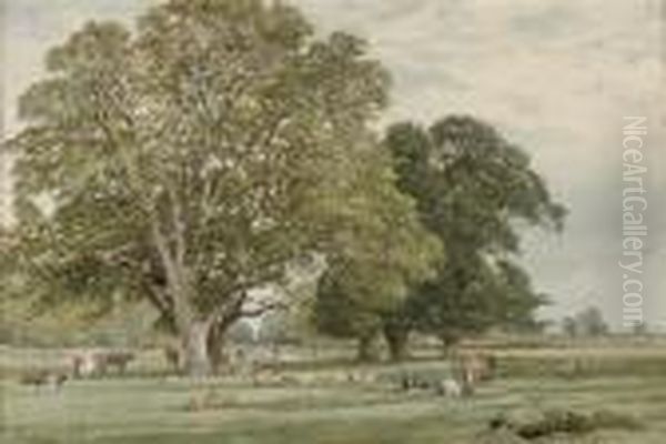 A Summer Stroll Through Parkland Oil Painting by Edward R.W.S Duncan