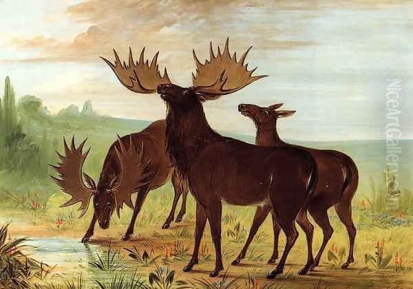 Moose at Waterhole Oil Painting by George Catlin