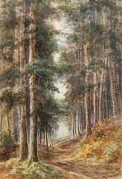 Figures On A Path In A Pine Forest Oil Painting by Walter Duncan