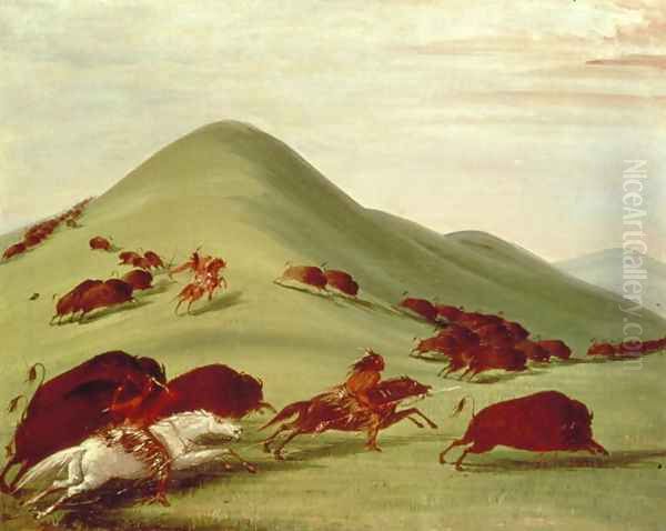 The Buffalo Hunt Oil Painting by George Catlin