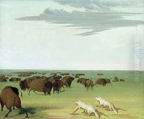 Buffalo Hunt under the Wolf-skin Mask Oil Painting by George Catlin