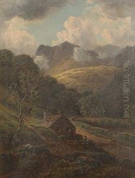 Noel Siabod, View Near Swallow Falls, Bettwsy Coed Oil Painting by Albert Dunnington