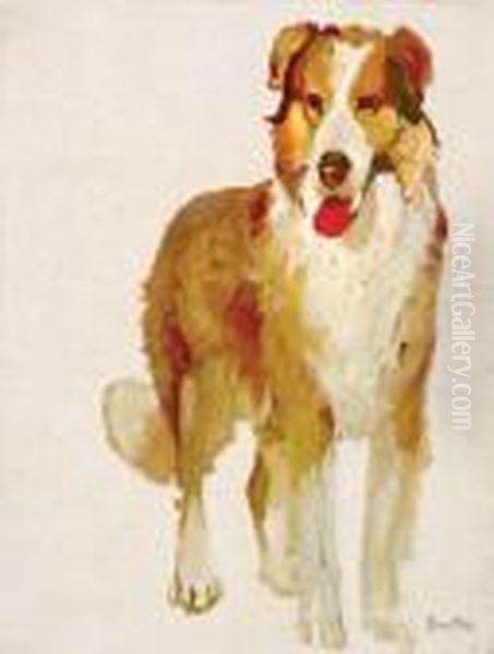 Study #36 [collie Dog] Oil Painting by W. Herbert Dunton