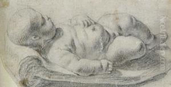 Study Of A Sleeping Infant Viewed From The Left Side Oil Painting by Francois Duquesnoy