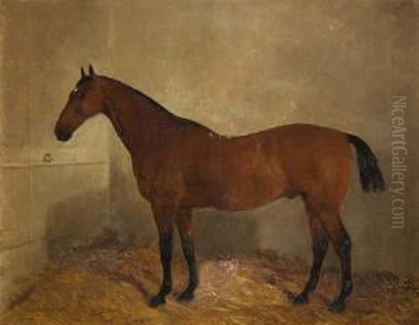 Pferde-portrat Im Stall-interieur Oil Painting by J. Duvall