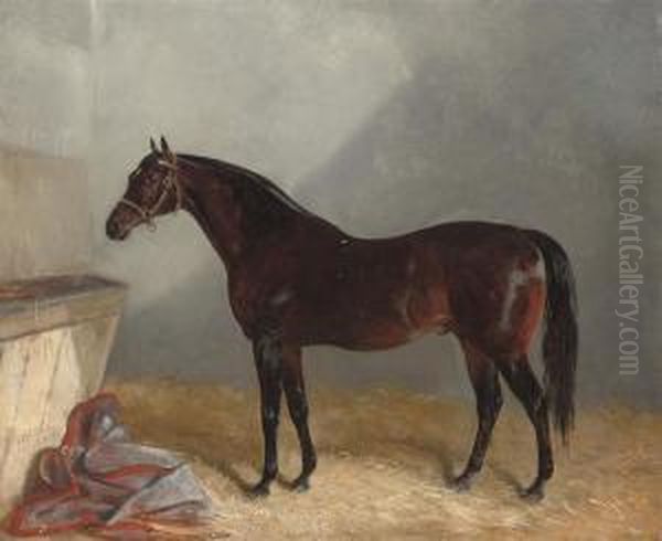 'surplice' In Stable Oil Painting by J. Duvall