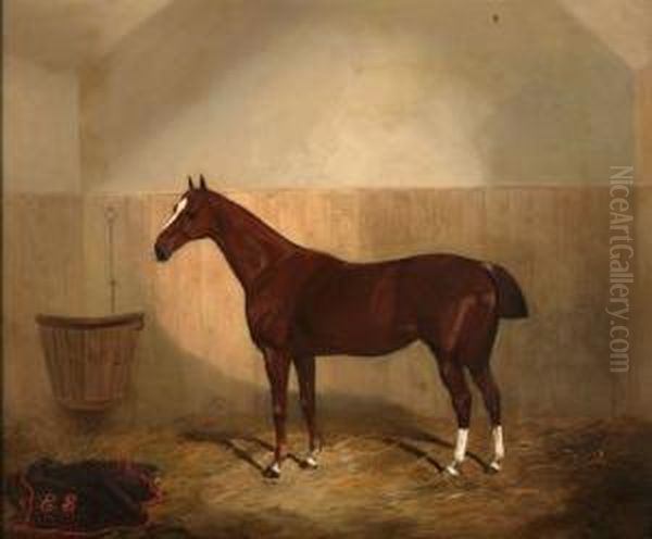 Study Of Achestnut Horse In A Stable by J. Duvall