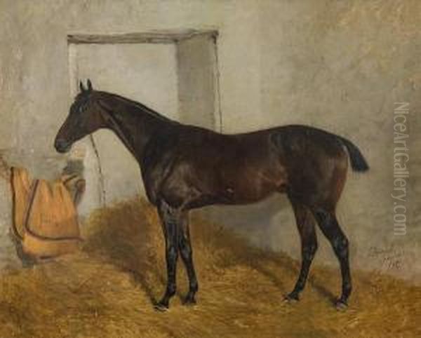 'casanet'; Study Of A Horse In A Stable Oil Painting by J. Duvall