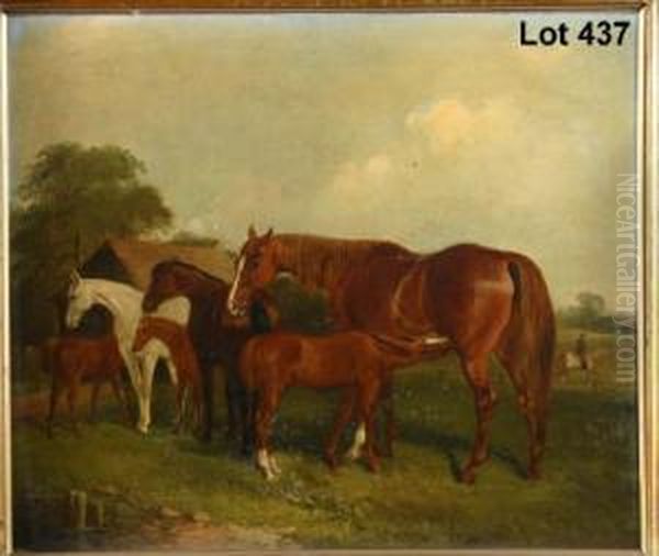 Study Of A Group Of Horses In A 
Field With Young Foalfeeding And Mounted Equestrian Figure Riding In The
 Background Oil Painting by J. Duvall