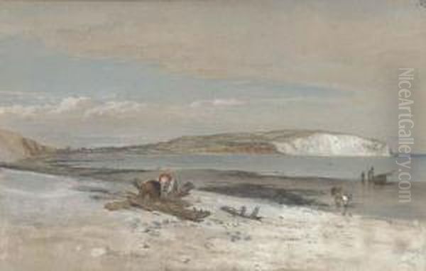 Culver Cliffs, Isle Of Wight Oil Painting by William Dyce