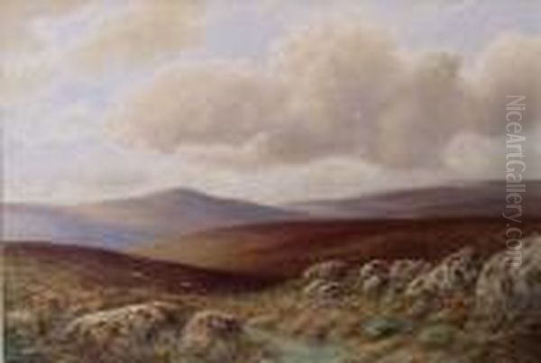 'dartmoor,nr. Princetown Oil Painting by William Henry Dyer