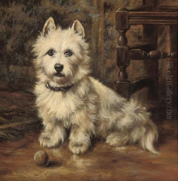 Waiting To Play, A Scottie With A Ball Oil Painting by Maud Earl