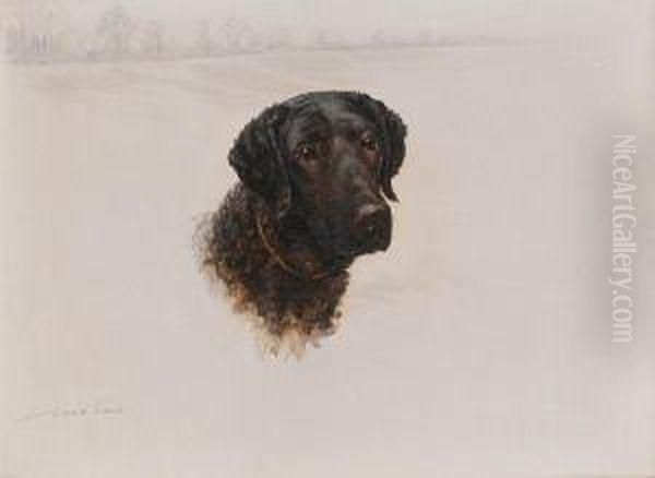 Curly Coated Retriever Oil Painting by Maud Earl