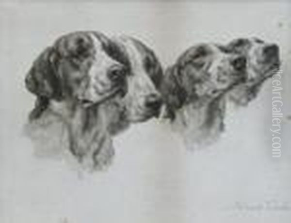 A Collection Of 24 Dog Prints. Oil Painting by Maud Earl