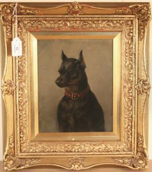 Study Of A Pinscher Wearing A Leather Collar With Metal Studs Oil Painting by Maud Earl