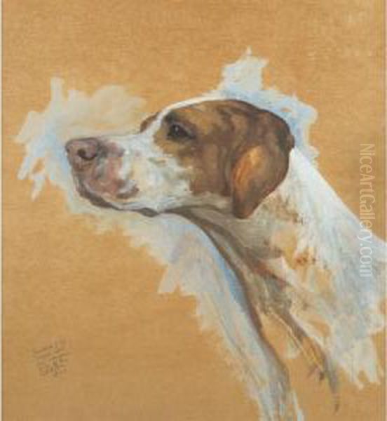 Head Study Of An American Pointer Oil Painting by Maud Earl