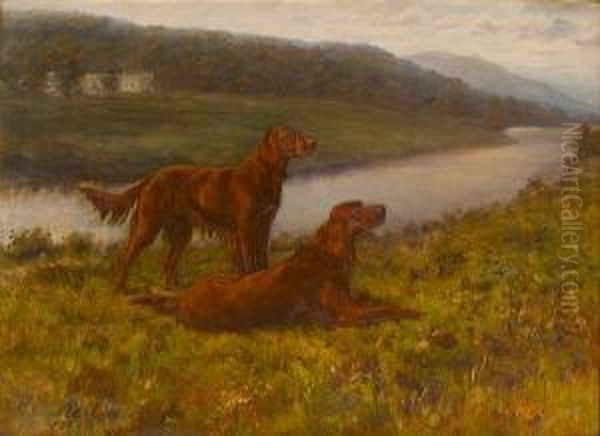 Irish Setters In A Landscape Oil Painting by Maud Earl