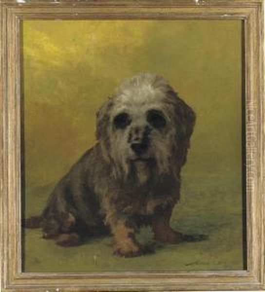 A Dandie Dinmont Oil Painting by Maud Earl