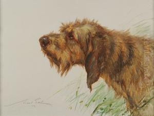 Otterhound Head Study Oil Painting by Maud Earl