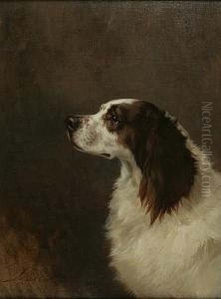 Springer Spaniel Portrait Oil Painting by Maud Earl