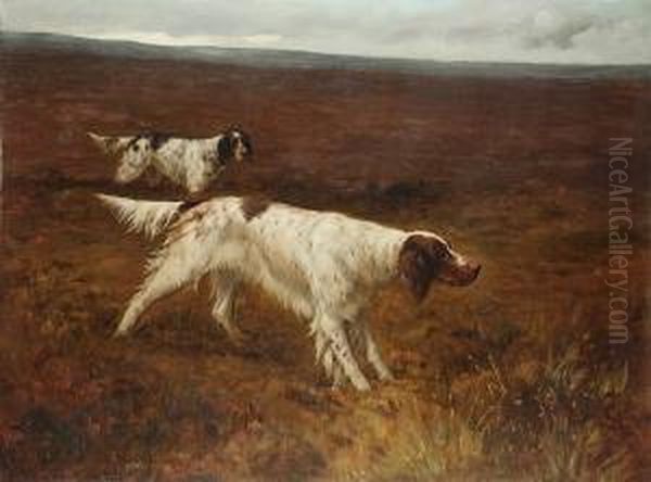 The English Setter 'carta Carna', The Property Of F.c. Lowe Esq.,working On A Moor Oil Painting by Maud Earl