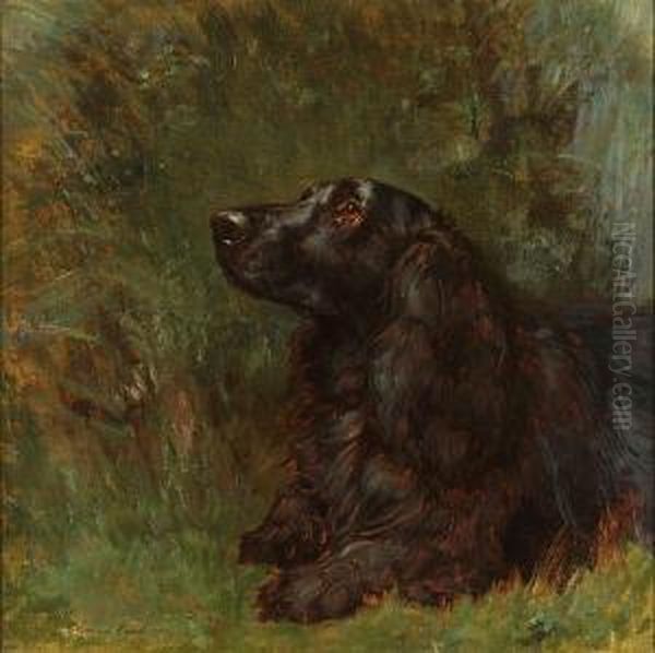 A Field Spaniel Oil Painting by Maud Earl