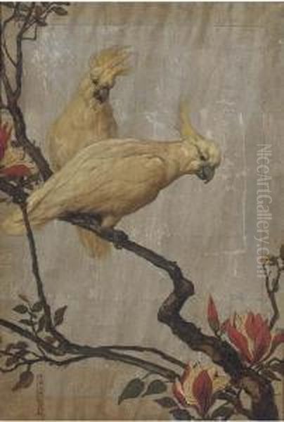 Sulpher-crested Cockatoos Oil Painting by Maud Earl