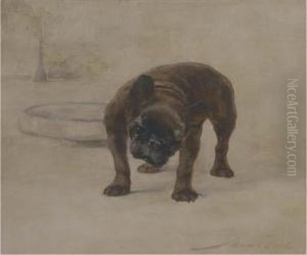 Champion Dinette, A French Bulldog Oil Painting by Maud Earl