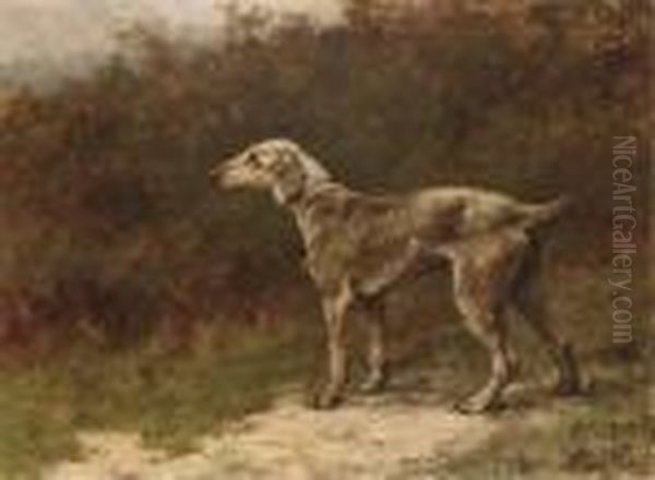 Clyde Boy, A Beddlington Terrier Oil Painting by Maud Earl