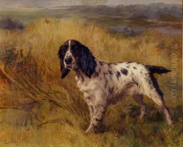 A Setter On Point Oil Painting by Maud Earl