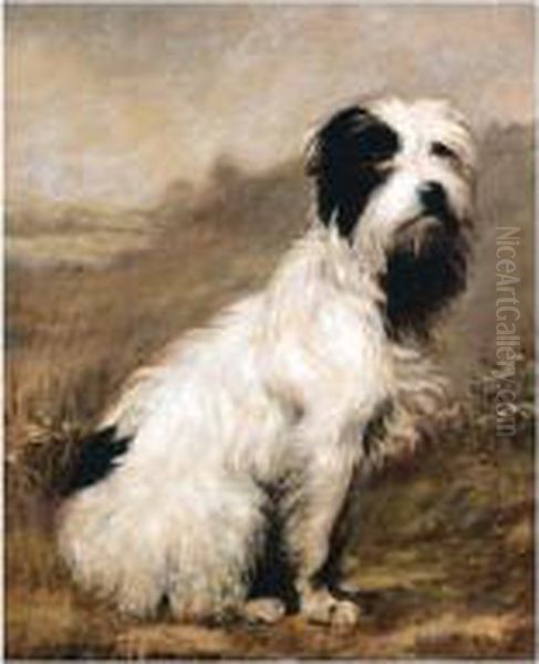 Bearded Terrier Oil Painting by Maud Earl