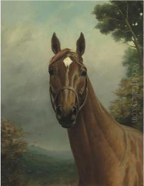 Man O' War Oil Painting by Percy Earl