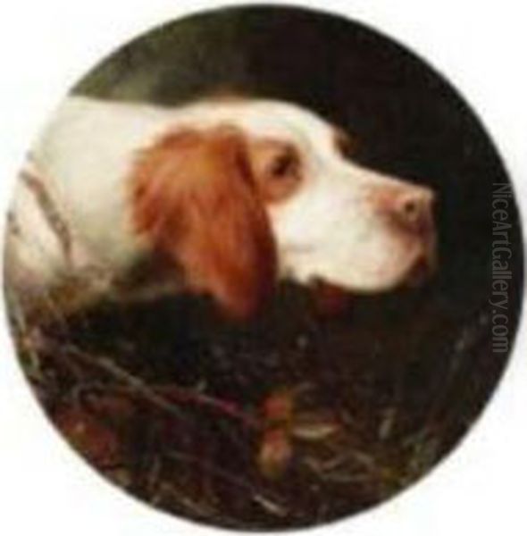 An English Setter Oil Painting by Thomas William Earl