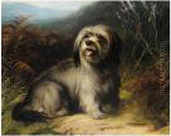 Skye Terrier Oil Painting by Thomas William Earl