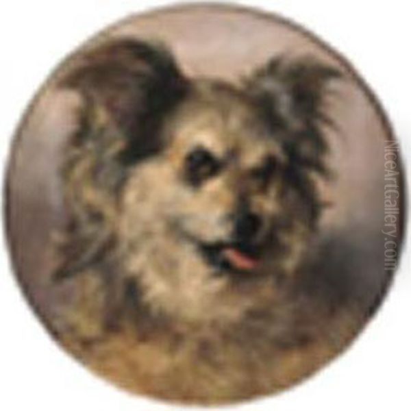 Head Study Of A Terrier Oil Painting by Thomas William Earl