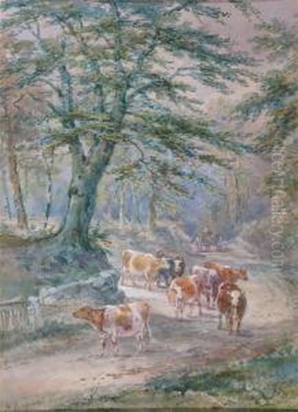 Cattle In A Lane At Uckfield Oil Painting by Henry Earp