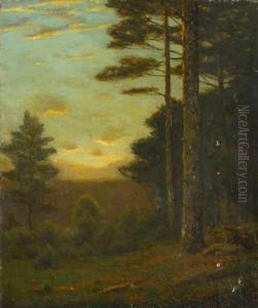 Among The Pine Oil Painting by Charles Warren Eaton