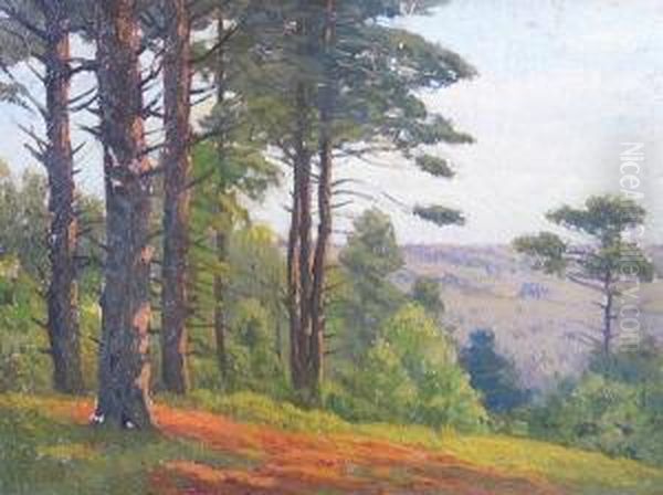 A Stand Of Pines On A Hill Oil Painting by Charles Warren Eaton