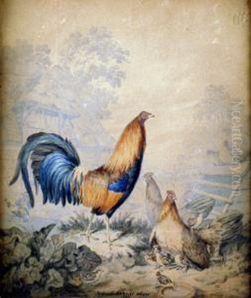 A Proud Cockerel, With His Hens And Chicks Oil Painting by Sydenham Teast Edwards