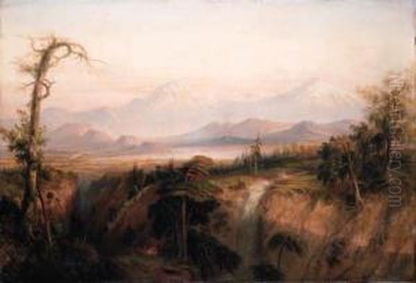 The Ravine Of The Desert (the Valley Of Mexico) Oil Painting by Daniel Thomas Egerton