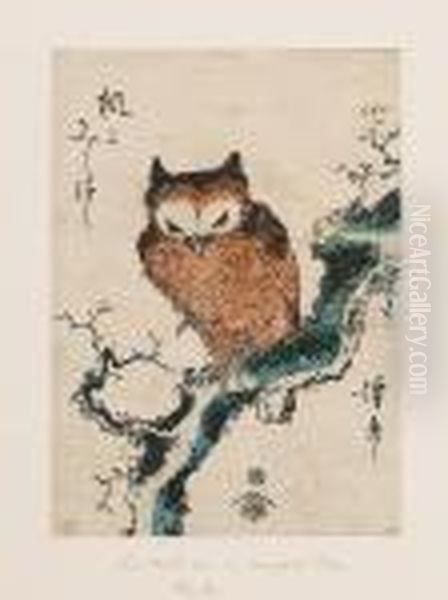 [-], A Chuban Of An Owl Oil Painting by Keisai Eisen