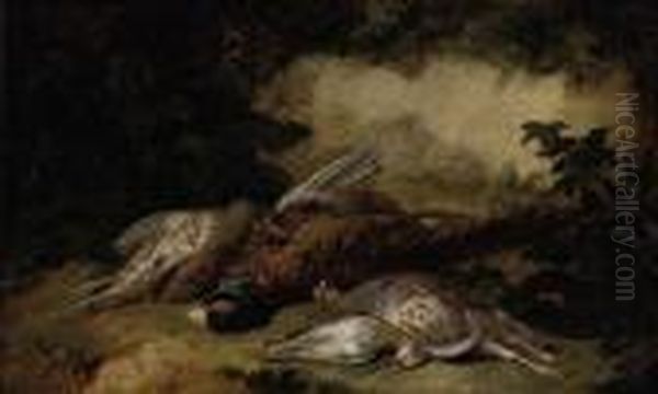 A Dead Pheasant, Grouse And A Snipe In A Wooded Clearing Oil Painting by Stephen Elmer