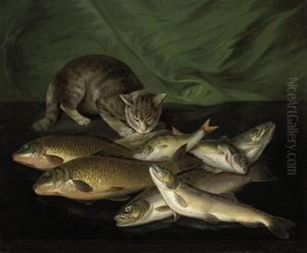 A Cat And Dead Fish On A Stone Ledge Oil Painting by Stephen Elmer