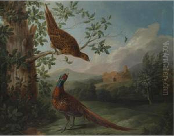 A Pair Of Pheasants In An Extensive Landscape Oil Painting by Stephen Elmer