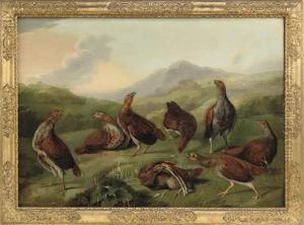 A Covey Of Partridges In A Landscape Oil Painting by Stephen Elmer