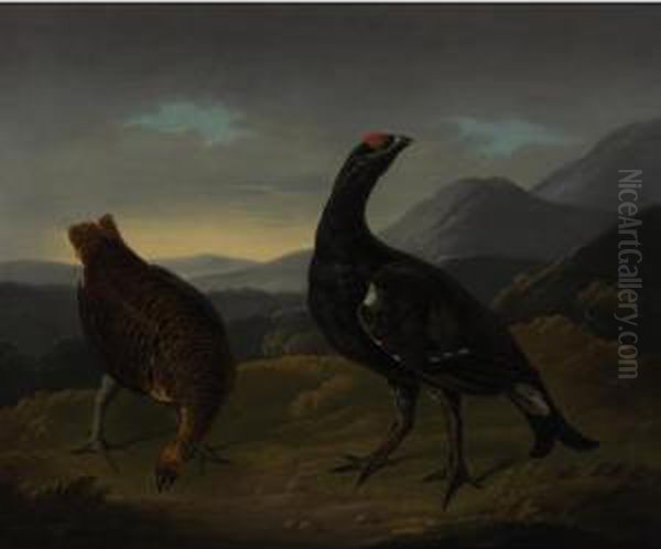 Black Cock And Grey Hen Oil Painting by Stephen Elmer