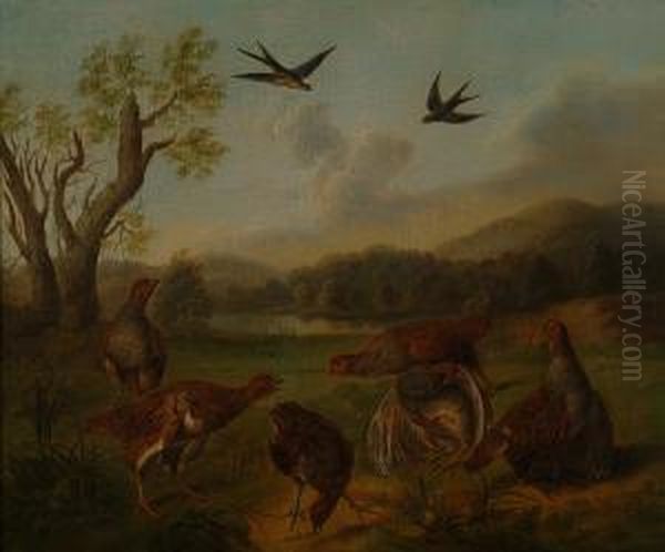 A Flock Of Partridge With A Lake And Swallows Oil Painting by Stephen Elmer