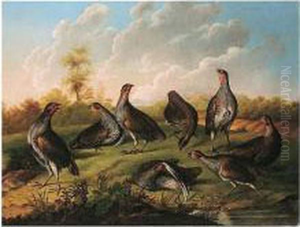 A Covey Of Partridges Oil Painting by Stephen Elmer