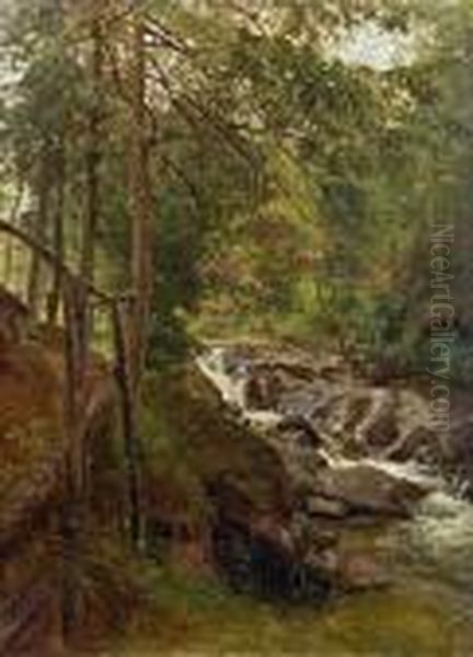 Steiniger Waldbach Oil Painting by Thomas Ender