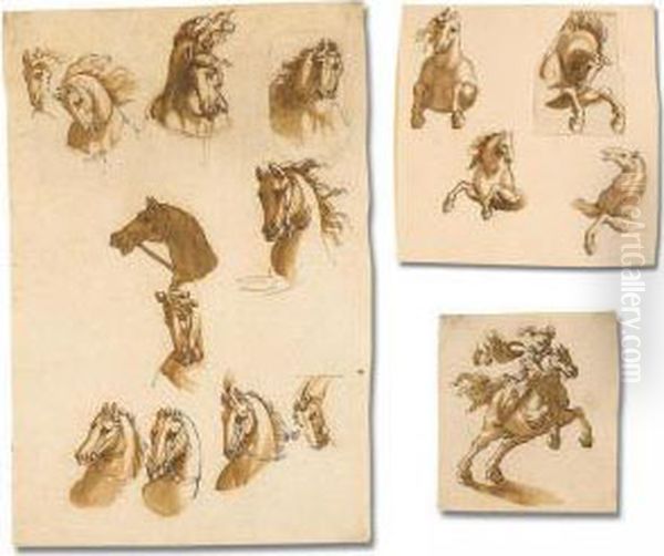 A Series Of Studies Of Horses After Italian And Antique Prototypes Oil Painting by Johannes Episcopius